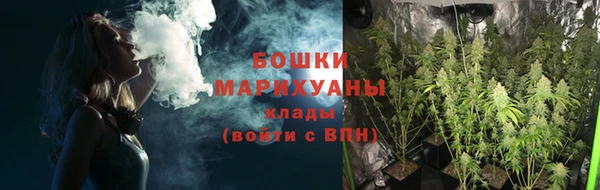 мяу мяу мука Гусь-Хрустальный