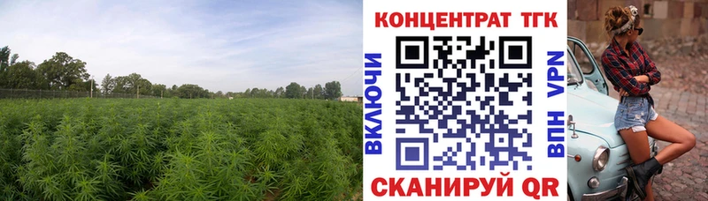 ТГК жижа  наркотики  Архангельск 
