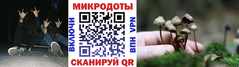 Галлюциногенные грибы Psilocybine cubensis  Архангельск 