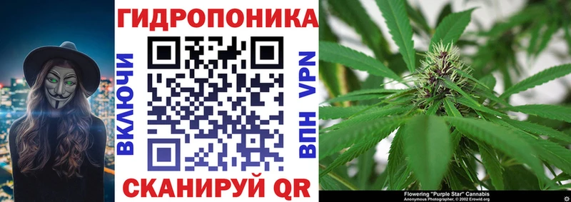 Канабис ГИДРОПОН Архангельск
